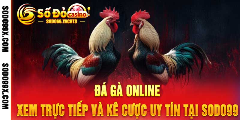 Đá Gà Online - Xem Trực Tiếp và Kê Cược Uy Tín Tại Sodo99 - Raxo